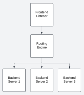data plane components